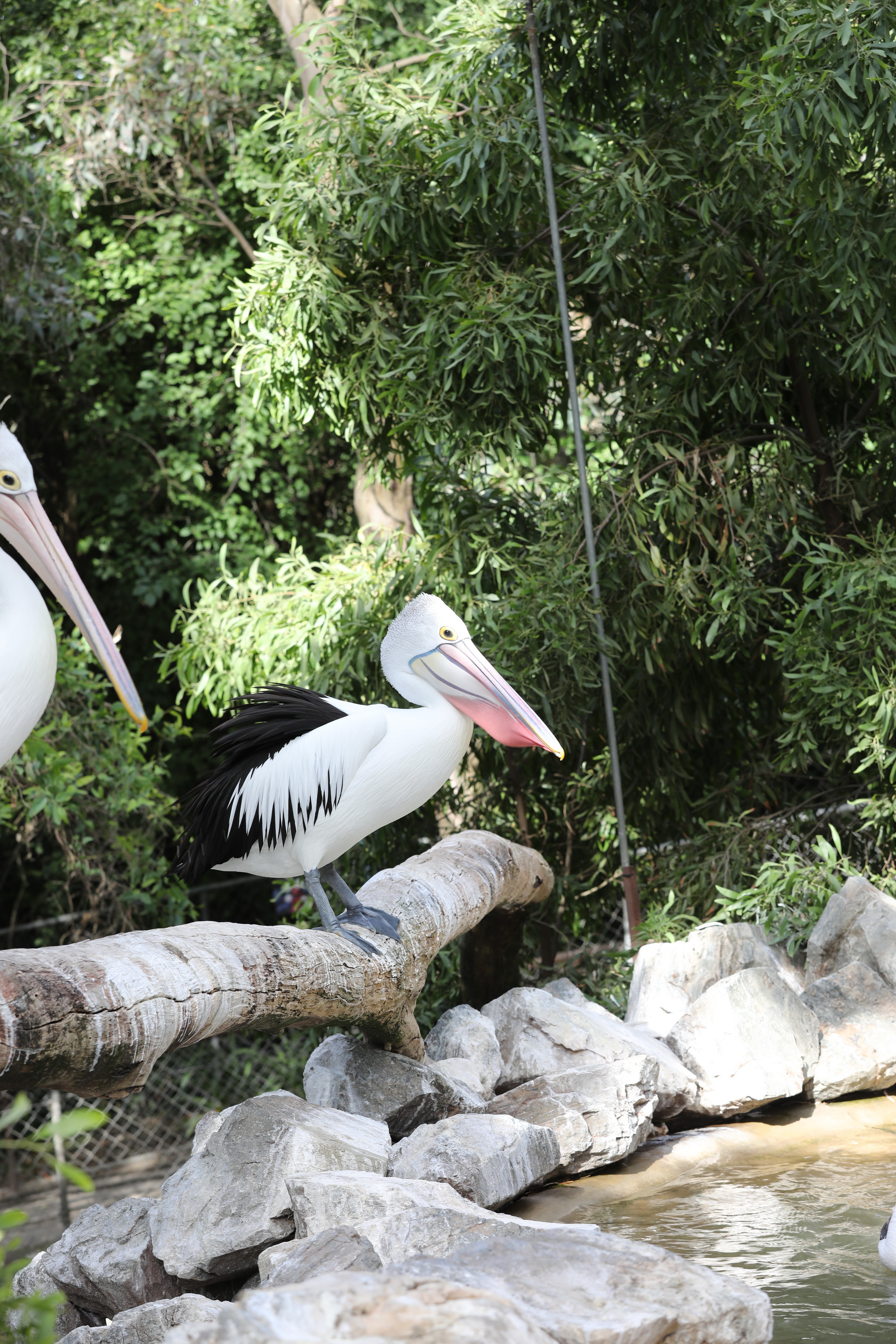 2019 11 22 16 50 32 Canon EOS 5D Mark IV 0041